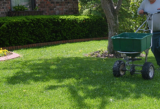 Affordable Rockford Lawn Fertilization Services